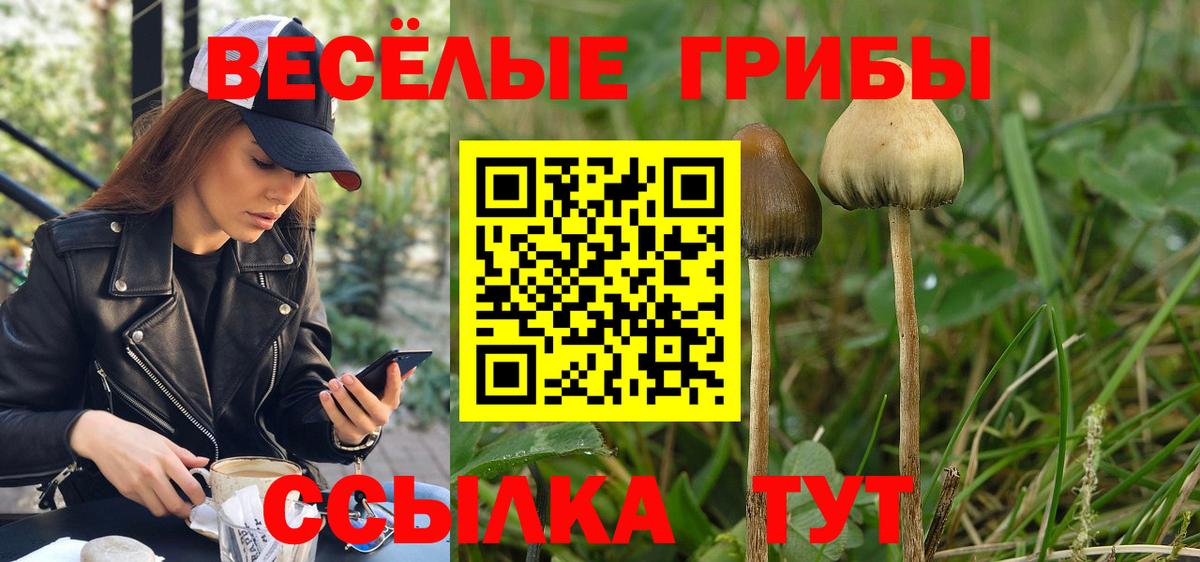 Псилоцибиновые грибы мицелий Евпатория