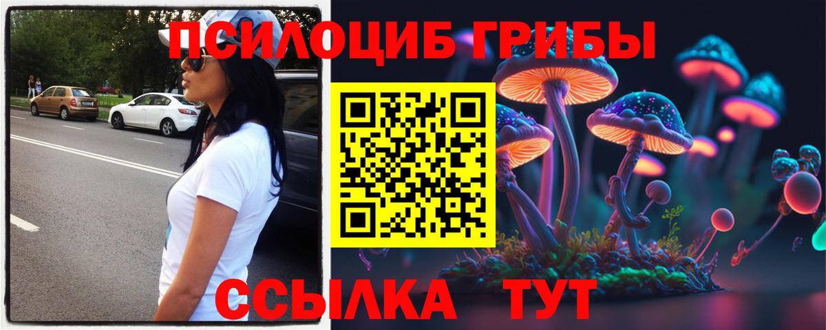 Галлюциногенные грибы Psilocybe  Псилоцибиновые грибы MAGIC MUSHROOMS  Вход с VPN  Евпатория 