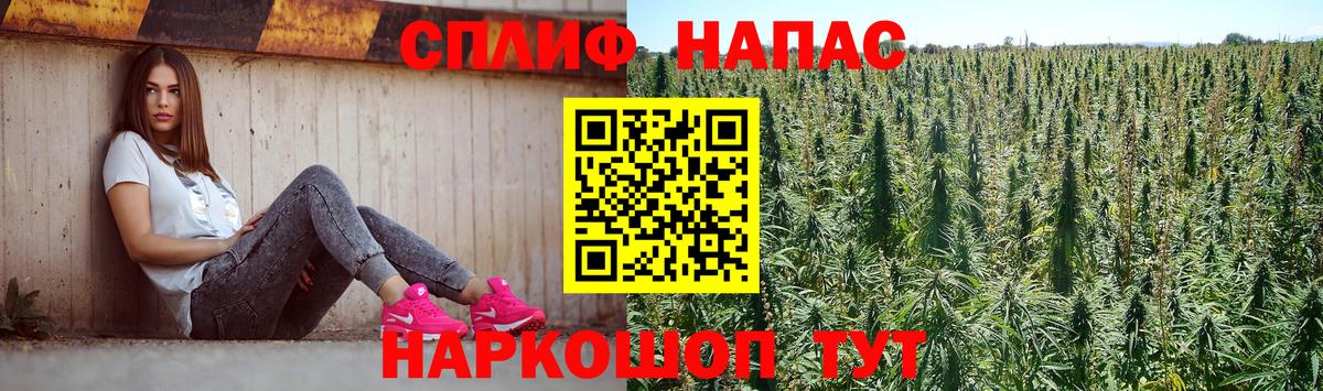 Евпатория  МАРИХУАНА план  Каннабис SATIVA & INDICA  Каннабис SATIVA & INDICA  Вход с VPN 